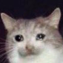 amyforthenguyen avatar