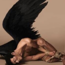 amymorrison35 avatar