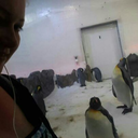 amysamazingaussieadventure avatar