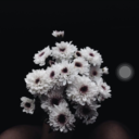 an-anxious-bisexy avatar