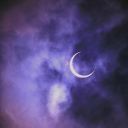 an-enbian-hangout avatar