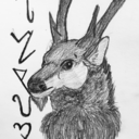 an-enchanted-deer avatar