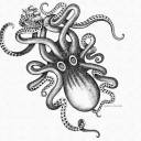 an-eternal-octopus avatar