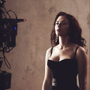 an-evergreen-rose avatar