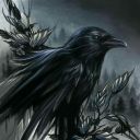 an-inconspicous-raven avatar