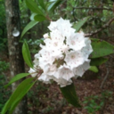 an-old-way-i-used-to-be avatar