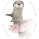 an-otter-in-skirts avatar