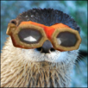 an-otter-with-a-solder avatar