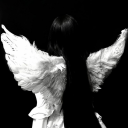 anaangelwingss avatar