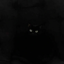 anaatomicalheart avatar