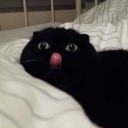 anabananaxoxo avatar