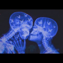 anabelhrndz24 avatar