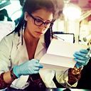 anabundanceofideas avatar