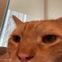 anabundanceofstuff avatar