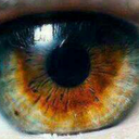 anadolutrip-blog avatar