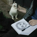 anadoluyaacilankapi avatar