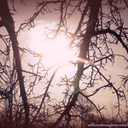 anagrcic-blog avatar