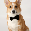 analaesthetic-blog avatar