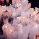 analog-jester avatar