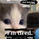 analyticalnonsense avatar