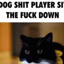 analyticstrategy avatar