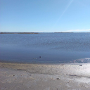 anamariaurrutia avatar