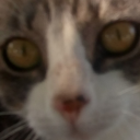 ananananastuff avatar