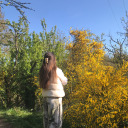 ananascreaty-blog avatar