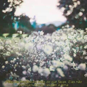 anandaaa-blog1 avatar