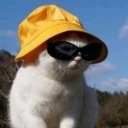 anapriscillasantos avatar