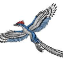 anarchaeopteryx avatar