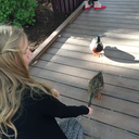 anarchaicnarwhal-blog avatar