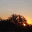 anarchical-doubter avatar