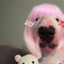 anarchistoria avatar