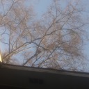 anarcho-communismhatesyou avatar