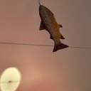 anarchocannibalism avatar