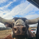 anarchyantichrist avatar