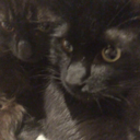 anarchyinthelivingroom avatar