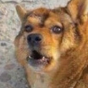 anarchymonster avatar