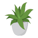 anaspiringauthor avatar