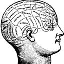 anatomics-blog avatar