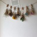 anatomy-of-a-happy-soul avatar