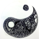 anatomy-of-a-sailor avatar