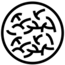 anatomyofdata-blog avatar