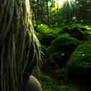 anatureobserver avatar