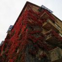 anautumndiary avatar