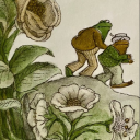 anchajjshdhehej avatar