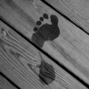 anchorandfins avatar