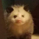 ancientdustspec1 avatar