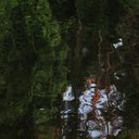 ancientmorigirl avatar